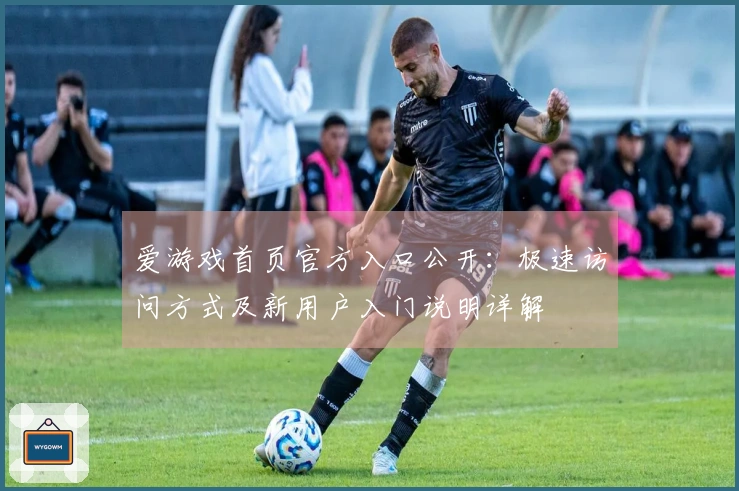 爱游戏首页官方入口公开：极速访问方式及新用户入门说明详解