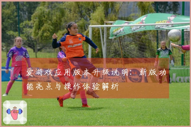 爱游戏应用版本升级说明：新版功能亮点与操作体验解析