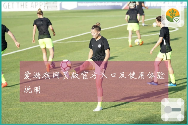 爱游戏网页版官方入口及使用体验说明