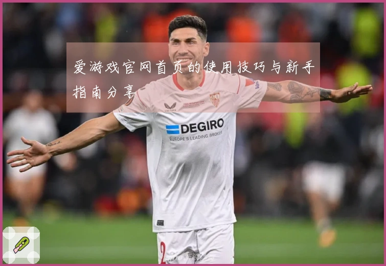 爱游戏官网首页的使用技巧与新手指南分享